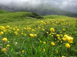 2014 06 15 Rando La Haute Pointe  (1)