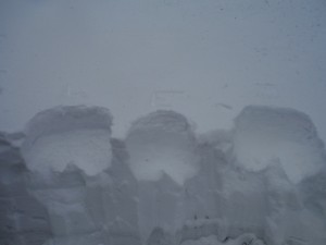 DSCF5523