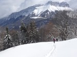 Sur le flanc du Mt Morbié, au fond la dent d' Arclusaz