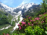 Les Dômes de Miage et ce qui reste du glacier de Miage