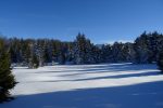 Une clairière à faire réver les tipistes !