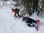 Effets collatéraux de la bataille de boules de neige 1