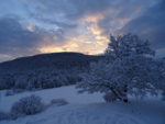 Lever de soleil sur la clairière de lente pris de la fenêtre du gîte